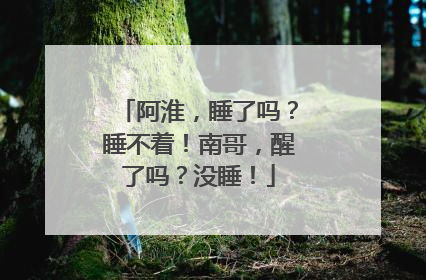 阿淮，睡了吗？睡不着！南哥，醒了吗？没睡！