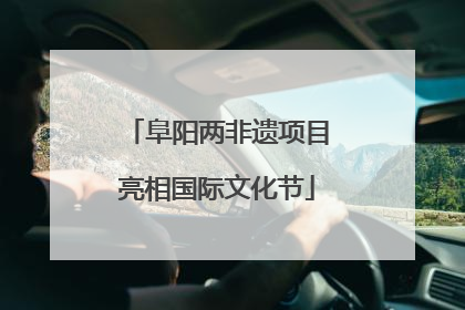 阜阳两非遗项目亮相国际文化节