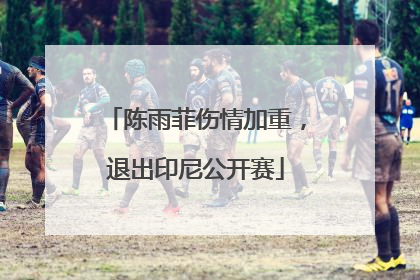 陈雨菲伤情加重，退出印尼公开赛