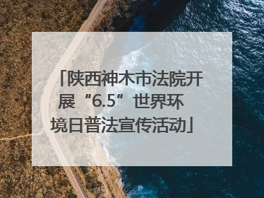 陕西神木市法院开展“6.5”世界环境日普法宣传活动