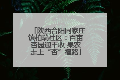陕西合阳同家庄镇柏瑞社区：百亩杏园迎丰收 果农走上“杏”福路
