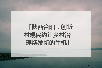 陕西合阳：创新村规民约让乡村治理焕发新的生机