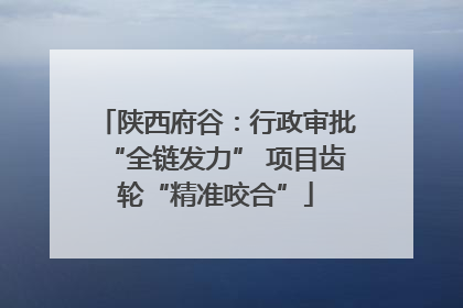陕西府谷：行政审批“全链发力” 项目齿轮“精准咬合”