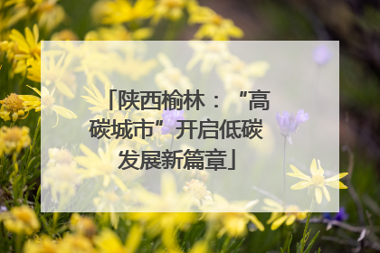 陕西榆林：“高碳城市”开启低碳发展新篇章