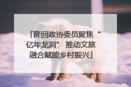 隆回政协委员聚焦“亿年龙洞” 推动文旅融合赋能乡村振兴