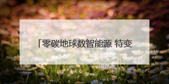 零碳地球数智能源 特变电工重装亮相SNEC