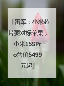 雷军：小米芯片要对标苹果，小米15SPro售价5499元起