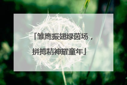 雏鹰振翅绿茵场，拼搏精神耀童年