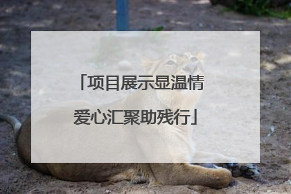 项目展示显温情 爱心汇聚助残行
