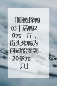 顺链探鸭①｜活鸭20元一斤，街头烤鸭为何却能卖到20多元一只