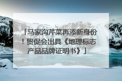 马家沟芹菜再添新身份！贸促会出具《地理标志产品品牌证明书》