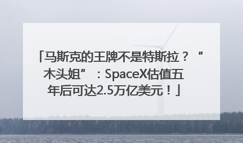 马斯克的王牌不是特斯拉？“木头姐”：SpaceX估值五年后可达2.5万亿美元！