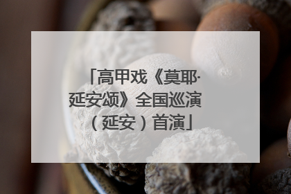 高甲戏《莫耶·延安颂》全国巡演（延安）首演