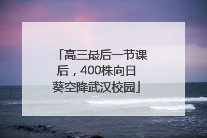 高三最后一节课后，400株向日葵空降武汉校园