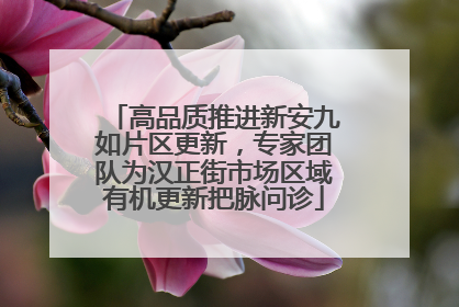 高品质推进新安九如片区更新，专家团队为汉正街市场区域有机更新把脉问诊