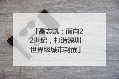 高志凯：面向22世纪，打造深圳世界级城市封面