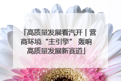 高质量发展看汽开｜营商环境“主引擎” 轰响高质量发展新赛道