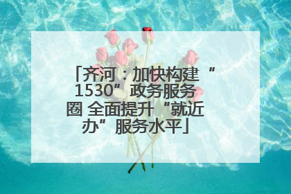 齐河：加快构建“1530”政务服务圈 全面提升“就近办”服务水平