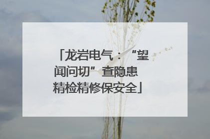 龙岩电气：“望闻问切”查隐患 精检精修保安全