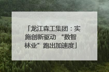 龙江森工集团：实施创新驱动 “数智林业”跑出加速度