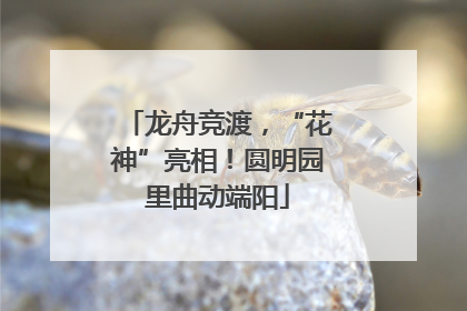 龙舟竞渡，“花神”亮相！圆明园里曲动端阳