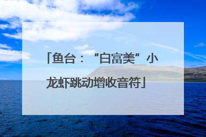 鱼台：“白富美”小龙虾跳动增收音符