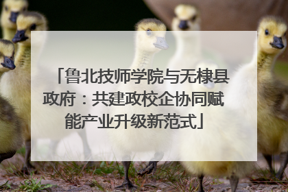 鲁北技师学院与无棣县政府：共建政校企协同赋能产业升级新范式