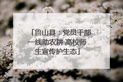 鲁山县：党员干部一线助农耕 高校师生宣传护生态