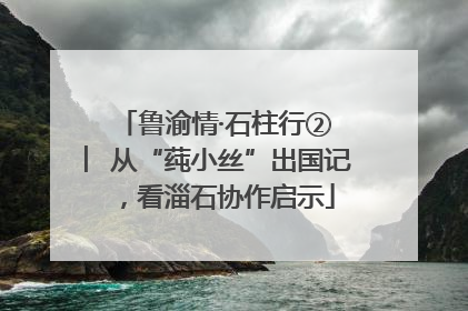 鲁渝情·石柱行② ︳从“莼小丝”出国记，看淄石协作启示