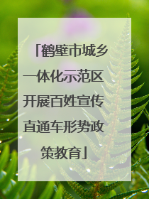 鹤壁市城乡一体化示范区开展百姓宣传直通车形势政策教育
