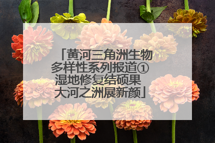 黄河三角洲生物多样性系列报道①湿地修复结硕果 大河之洲展新颜