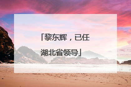 黎东辉，已任湖北省领导