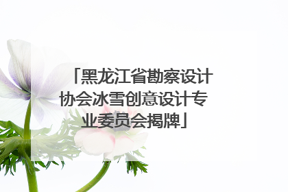 黑龙江省勘察设计协会冰雪创意设计专业委员会揭牌