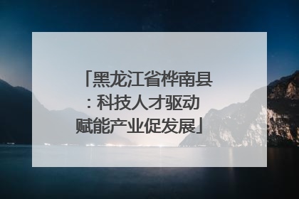 黑龙江省桦南县：科技人才驱动 赋能产业促发展