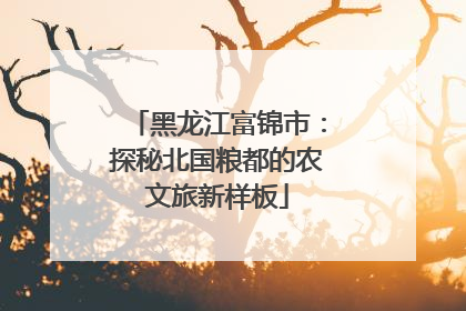 黑龙江富锦市：探秘北国粮都的农文旅新样板