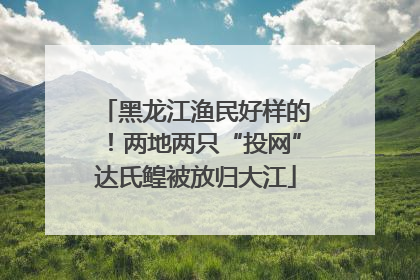 黑龙江渔民好样的！两地两只“投网”达氏鳇被放归大江