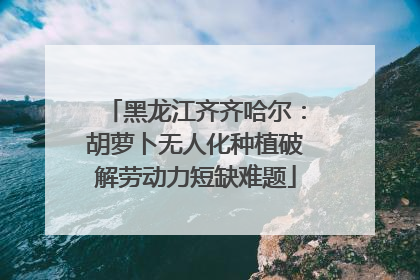 黑龙江齐齐哈尔：胡萝卜无人化种植破解劳动力短缺难题