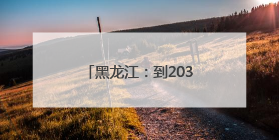 黑龙江：到2035年 要全面建成现代化绿色龙江