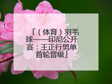 （体育）羽毛球——印尼公开赛：王正行男单首轮晋级