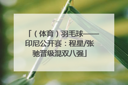 （体育）羽毛球——印尼公开赛：程星/张驰晋级混双八强