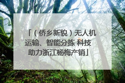 （侨乡新貌）无人机运输、智能分拣 科技助力浙江杨梅产销