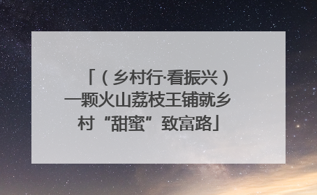 （乡村行·看振兴）一颗火山荔枝王铺就乡村“甜蜜”致富路