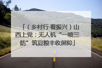 （乡村行·看振兴）山西上党：无人机“一喷三防”筑夏粮丰收屏障
