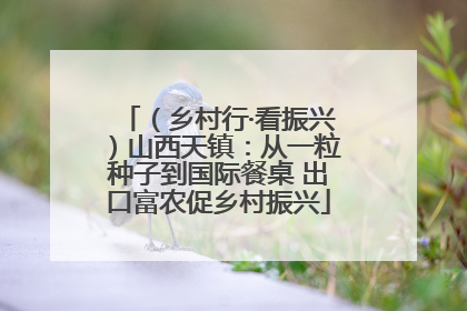 （乡村行·看振兴）山西天镇：从一粒种子到国际餐桌 出口富农促乡村振兴