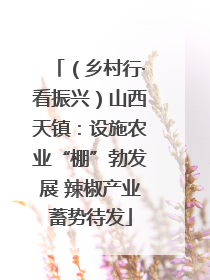（乡村行·看振兴）山西天镇：设施农业“棚”勃发展 辣椒产业蓄势待发