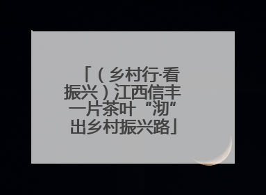 （乡村行·看振兴）江西信丰一片茶叶“沏”出乡村振兴路