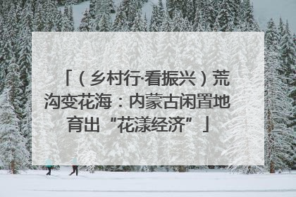 （乡村行·看振兴）荒沟变花海：内蒙古闲置地育出“花漾经济”