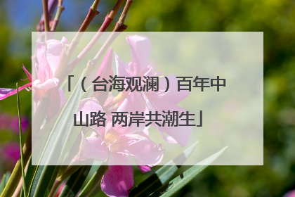 （台海观澜）百年中山路 两岸共潮生