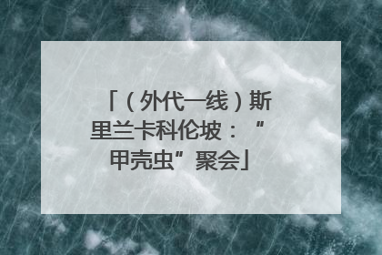 （外代一线）斯里兰卡科伦坡：“甲壳虫”聚会