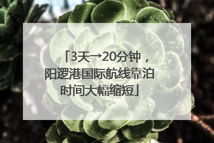 3天→20分钟，阳逻港国际航线靠泊时间大幅缩短